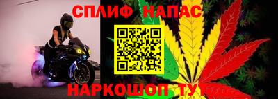 мет Кингисепп