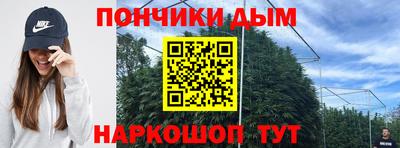 мет Кингисепп