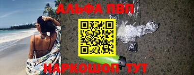 мет Кингисепп