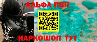 мет Кингисепп