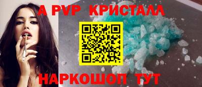 мет Кингисепп