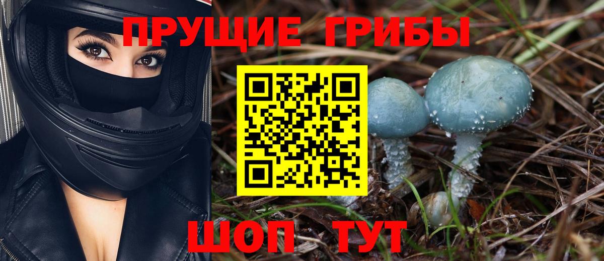Псилоцибиновые грибы Magic Shrooms Буйнакск