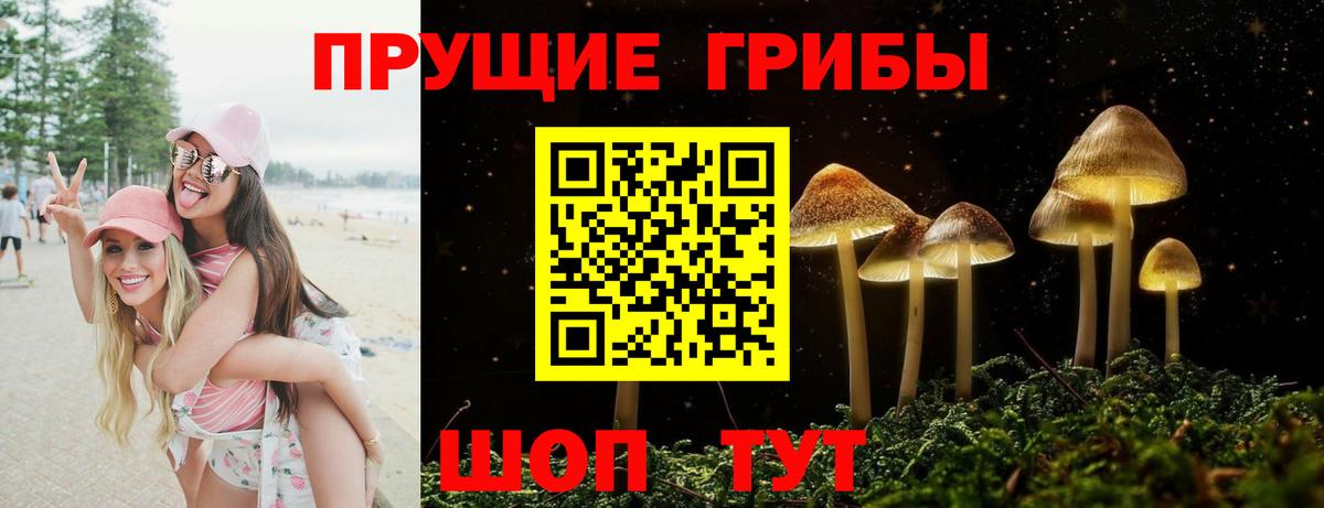 Галлюциногенные грибы GOLDEN TEACHER  Псилоцибиновые грибы MAGIC MUSHROOMS  Вход с VPN  Буйнакск 